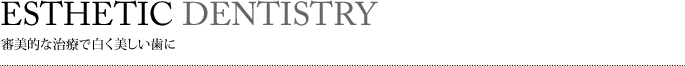 審美的な治療