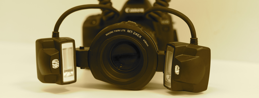 写真で見る症例写真